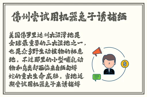 **字幕无码宿舍